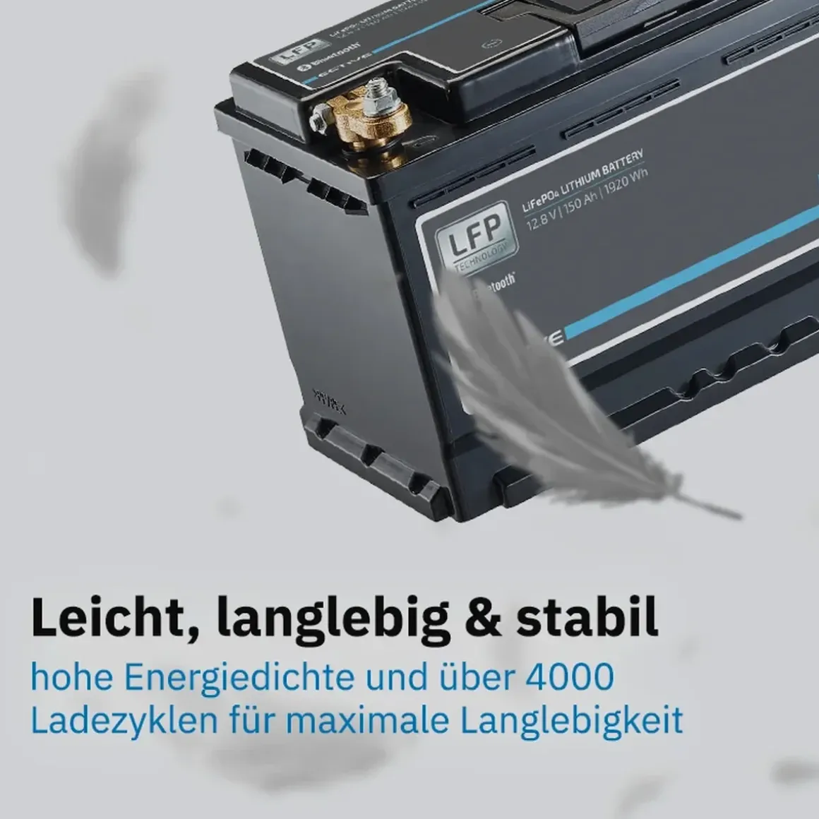 ECTIVE LC 100 LT 12V LiFePO4 Lithium Versorgungsbatterie 100 Ah