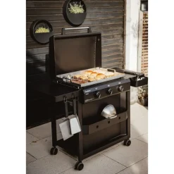 Enders Amaro 3  Plancha Grill