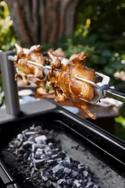 Everdure HUB II Holzkohlegrill