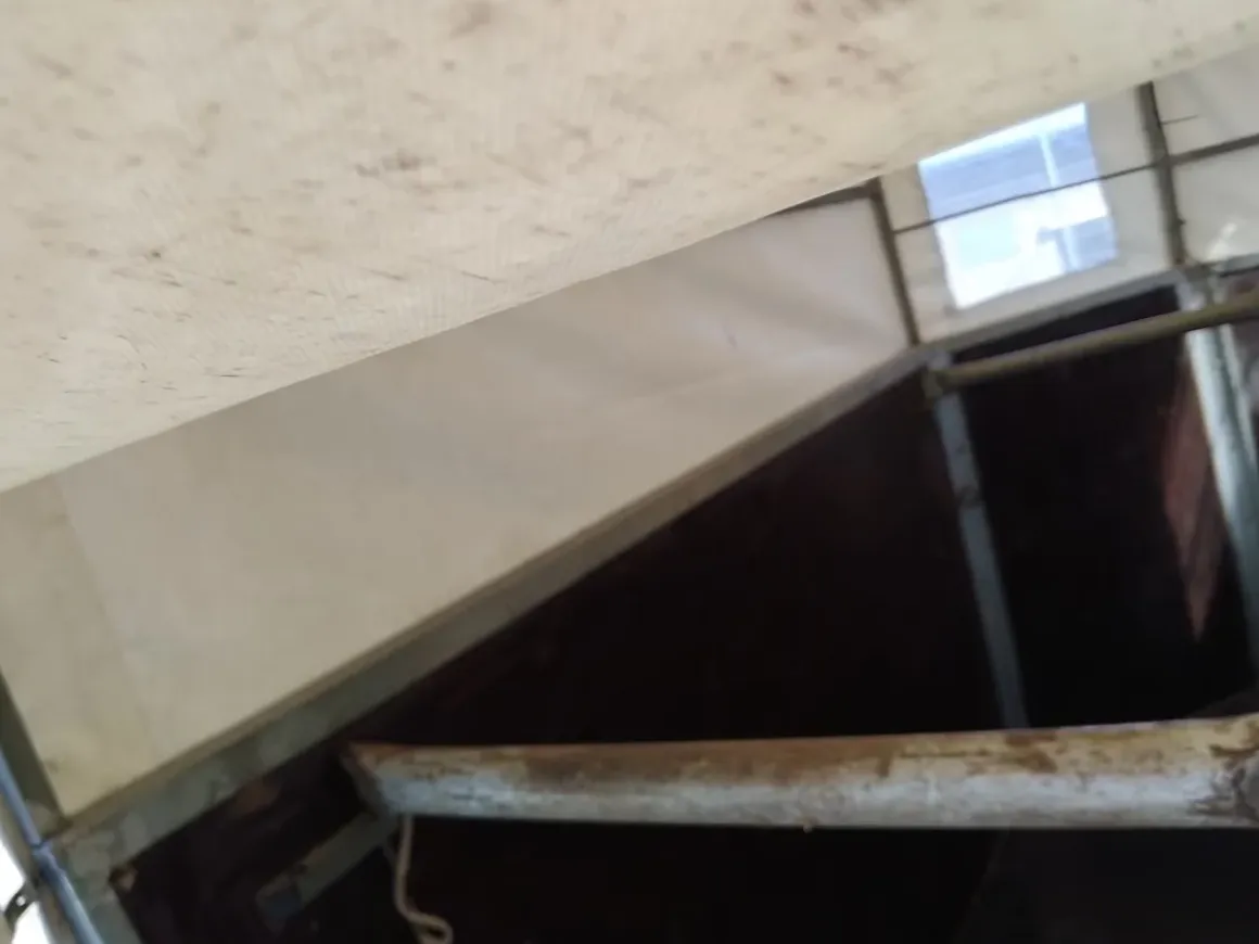 Gebrauchter Pferdeanhänger 2000 kg – Bastlerfahrzeug