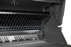 Napoleon Prestige 665 Connected  mit Sizzle Zone und Heckbrenner