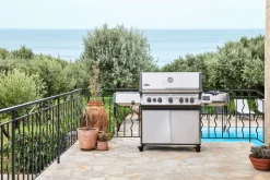 Napoleon Prestige 665 Connected mit Sizzle Zone und Heckbrenner