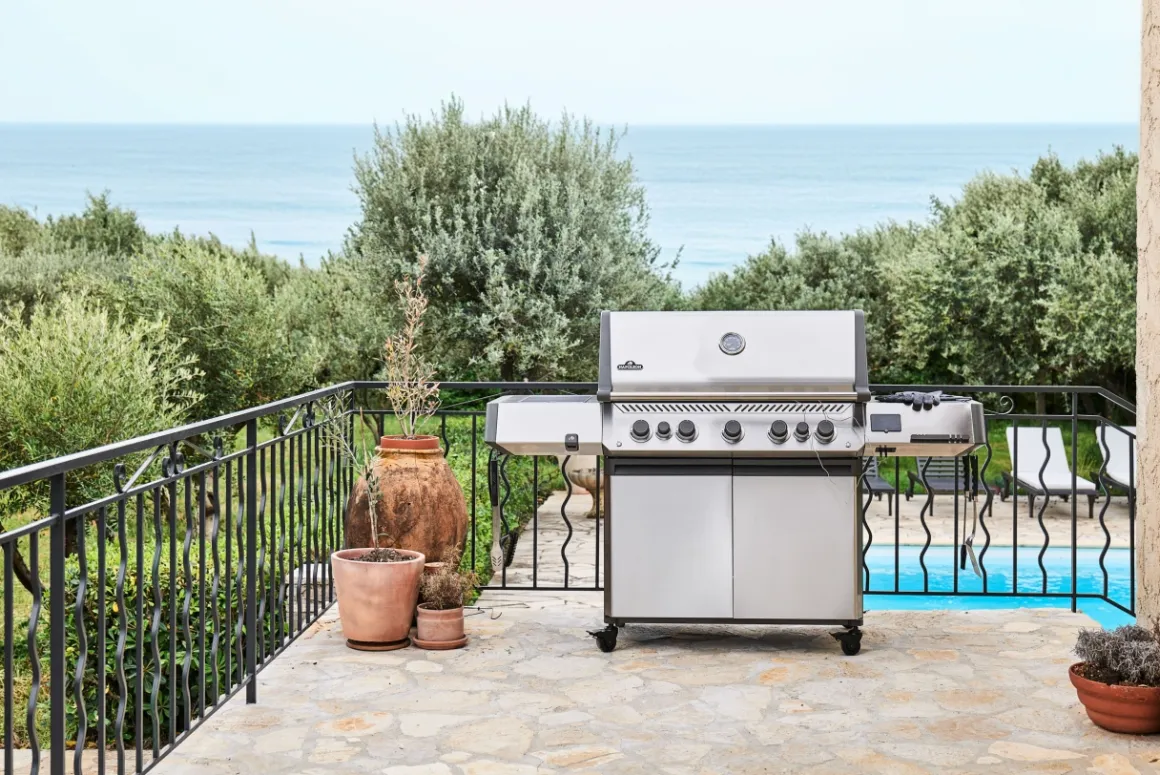 Napoleon Prestige 665 Connected mit Sizzle Zone und Heckbrenner