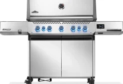 Napoleon Prestige 665 Connected mit Sizzle Zone und Heckbrenner