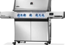 Napoleon Prestige 665 Connected mit Sizzle Zone und Heckbrenner