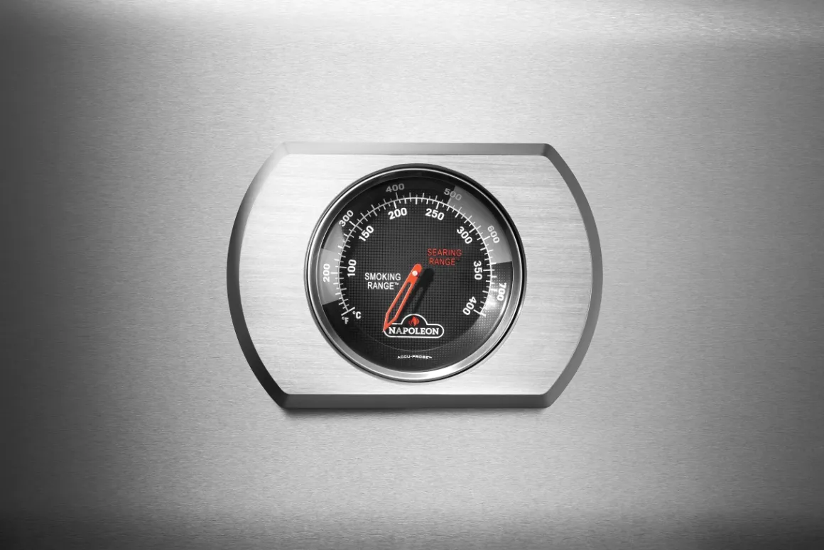 Napoleon Rogue Pro 425 mit Sizzle Zone