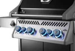 Napoleon Rogue PRO-S 525 mit Gussrosten  mit Backburner und Sizzle Zone