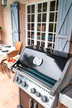 Napoleon Rogue PRO-S 525 mit Gussrosten  mit Backburner und Sizzle Zone