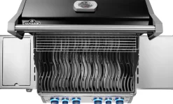 Napoleon Rogue PRO-S 525 mit Gussrosten  mit Backburner und Sizzle Zone