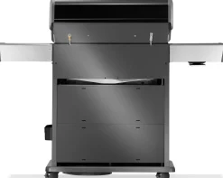 Napoleon Rogue PRO-S 525 mit Gussrosten  mit Backburner und Sizzle Zone