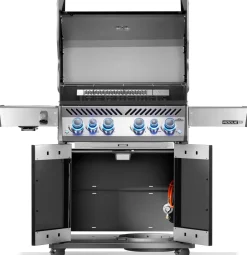 Napoleon Rogue PRO-S 525 mit Gussrosten  mit Backburner und Sizzle Zone