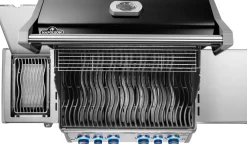 Napoleon Rogue PRO-S 525 mit Gussrosten  mit Backburner und Sizzle Zone