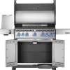 Napoleon Rogue PRO-S 625  mit Infrarot-Seiten (Sizzle Zone)- und Heckbrenner
