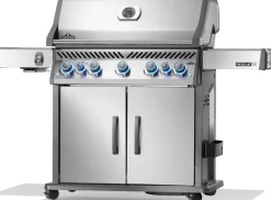 Napoleon Rogue PRO-S 625  mit Infrarot-Seiten (Sizzle Zone)- und Heckbrenner