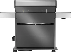 Napoleon Rogue PRO-S 625  mit Infrarot-Seiten (Sizzle Zone)- und Heckbrenner