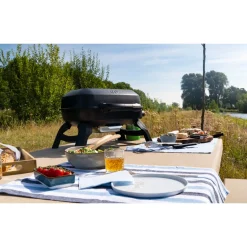 Napoleon Travel Q 240 mobiler Camping-Gasgrill