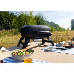 Napoleon Travel Q 240 mobiler Camping-Gasgrill