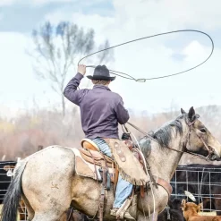 S&E Grillakademie Silber Cowboy BBQ