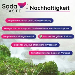 SodaTaste Co2 Aromazylinder Ingwer 425g