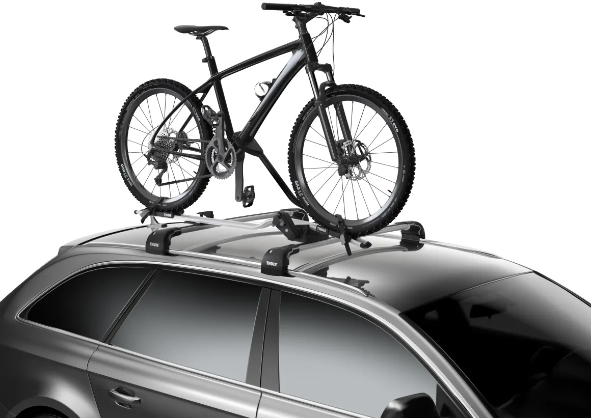 Thule Dachfahrradträger ProRide silber