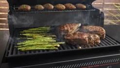 Weber Genesis E-330 WR Stealth Edition inklusive Drehspieß