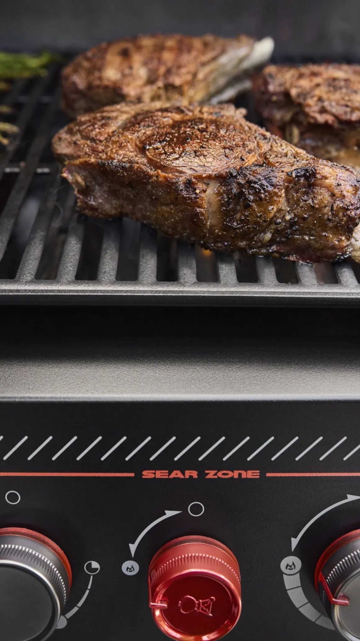 Weber Genesis E-330 WR Stealth Edition inklusive Drehspieß