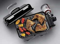 Weber Go-Anywhere tragbarer Camping-Gasgrill