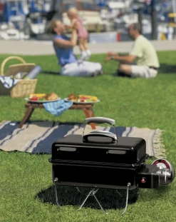 Weber Go-Anywhere tragbarer Camping-Gasgrill