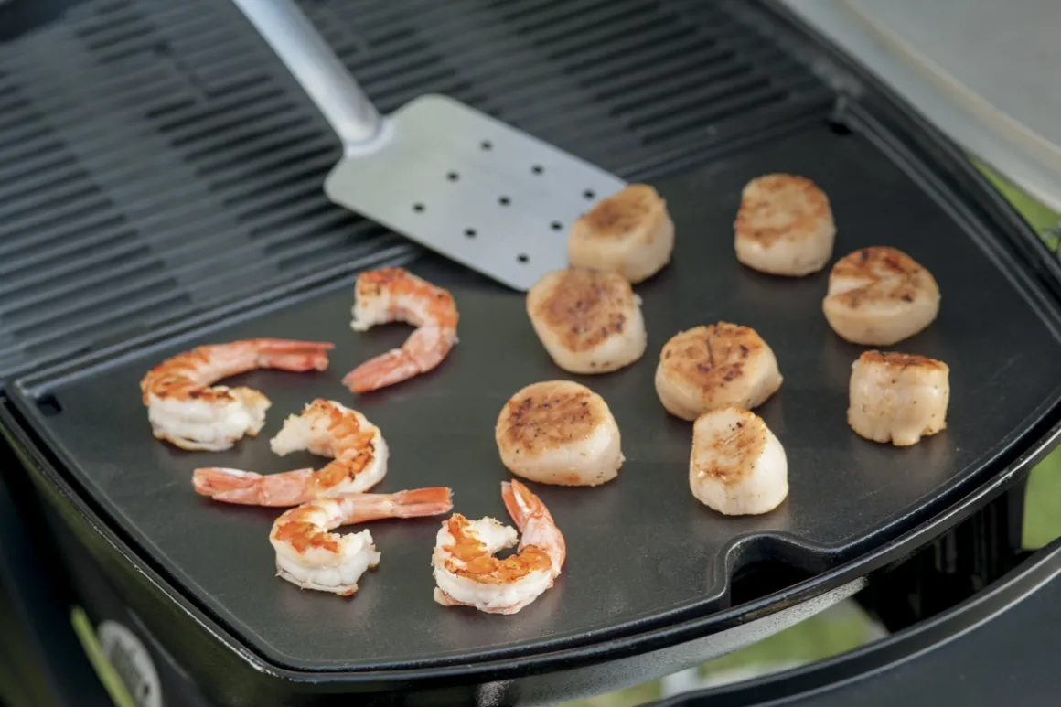 Weber Grillplatte für Q2000, 2200 (rechts) & Q2400 (links)