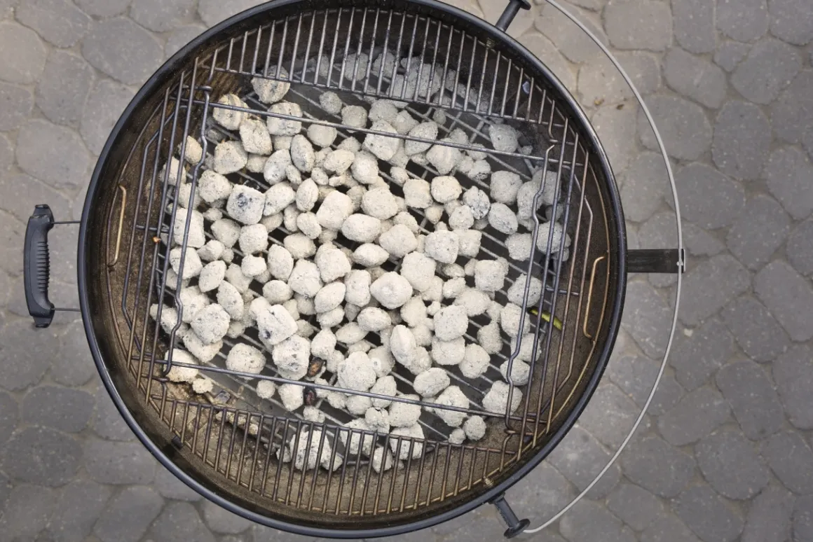 Weber Master Touch E-6755 Holzkohlegrill