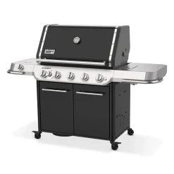 Weber Summit FS38 E Gasgrill schwarz