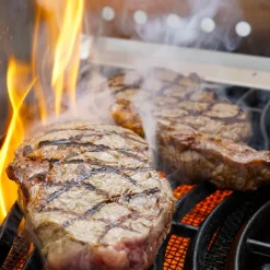 Windschutz für Napoleon und Broil King 800 Grad  Seitenkocher | Sizzle Zone (groß) mit Spießauflage