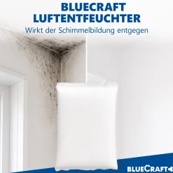 10x 1 kg Luftentfeuchter Prills Nachfüllpack im Vliesbeutel für Granulat Raumentfeuchter