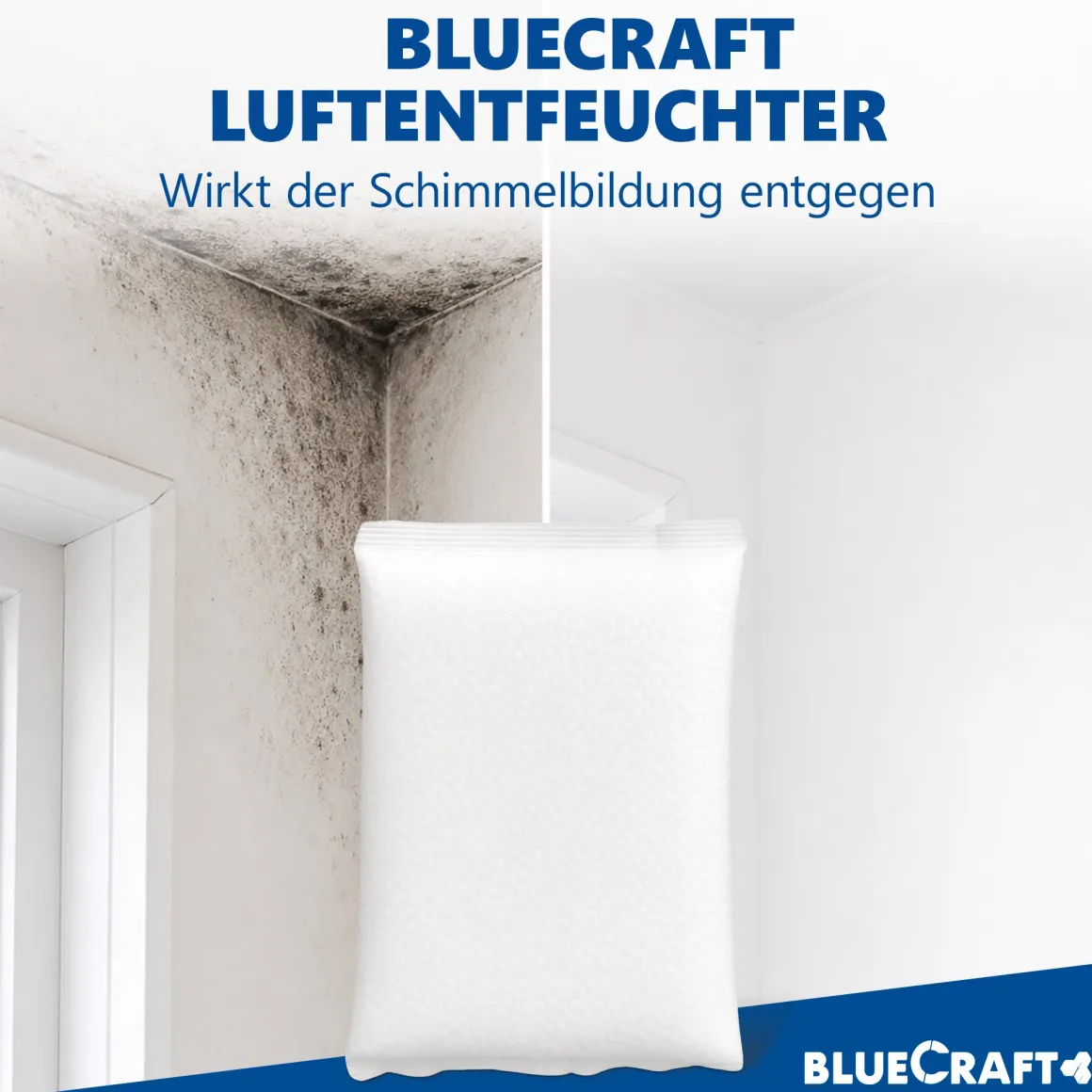 10x 1 kg Luftentfeuchter Prills Nachfüllpack im Vliesbeutel für Granulat Raumentfeuchter